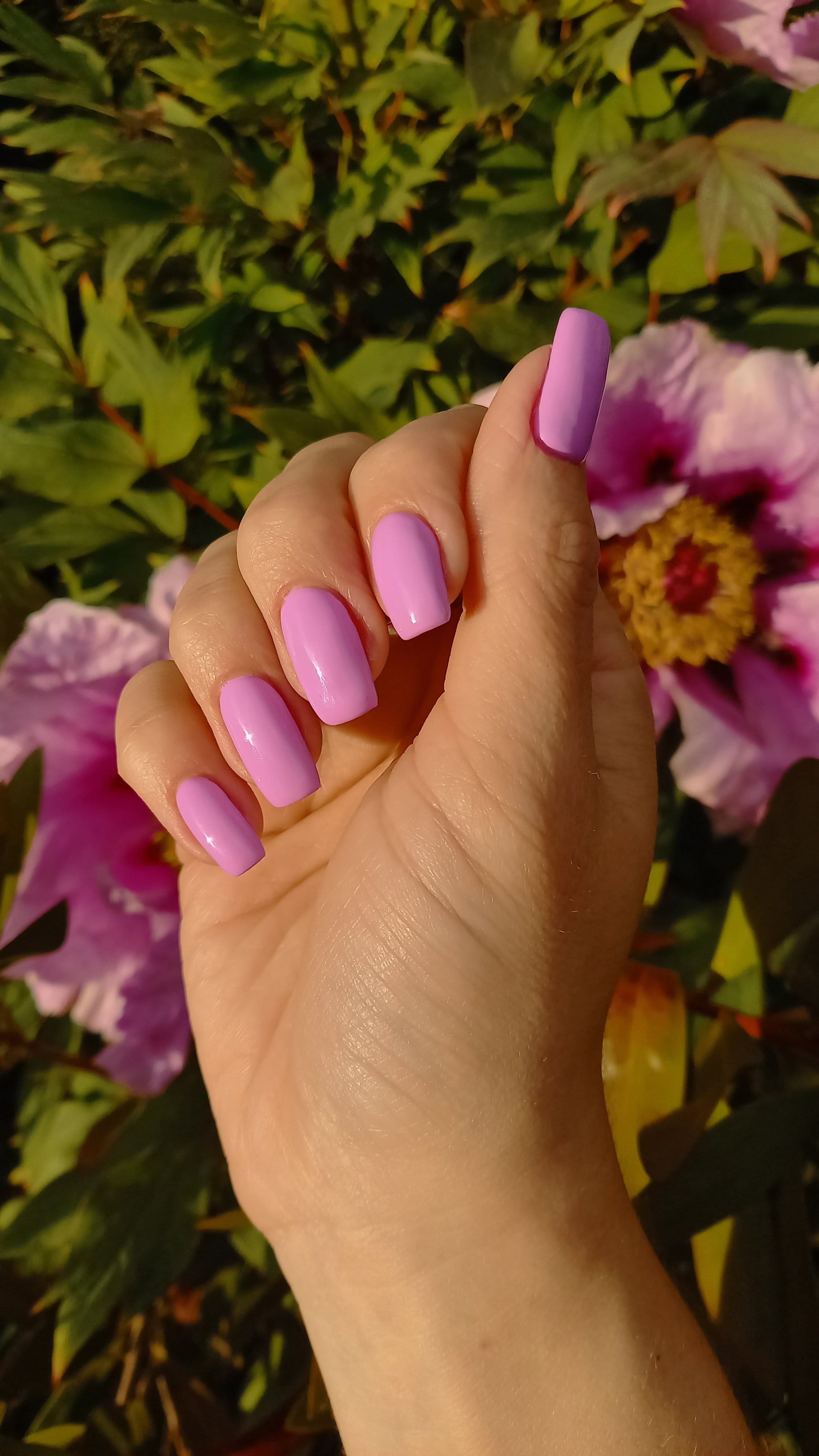 Miami Cally Gel Nail Polish