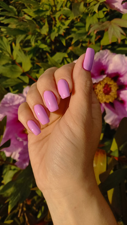 Miami Cally Gel Nail Polish