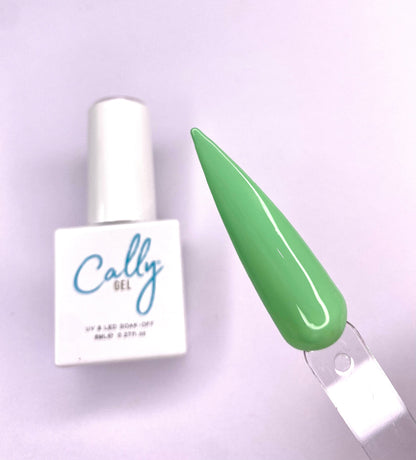 Nail Gel Polish