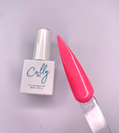 Nail Gel Polish